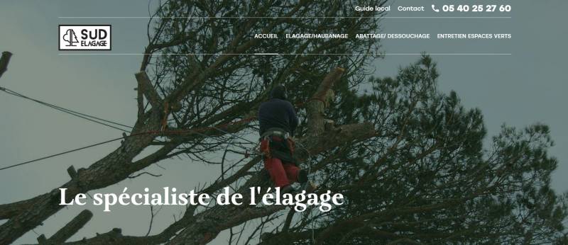 Création de site web pour les professionnels de l'élagage et des espaces verts: Jalis Toulouse
